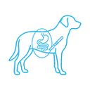 Chirurgie abdominală și digestivă