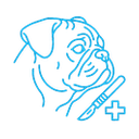 Chirurgie pentru rase brahicefalice (bot scurt)