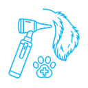 Chirurgie ORL (urechi)